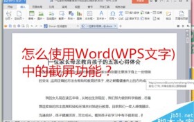 Word的截屏功能怎么使用?