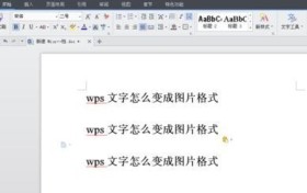 wps怎么把文字变成图片格式