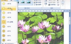 在Word2007怎么设置图片亮度